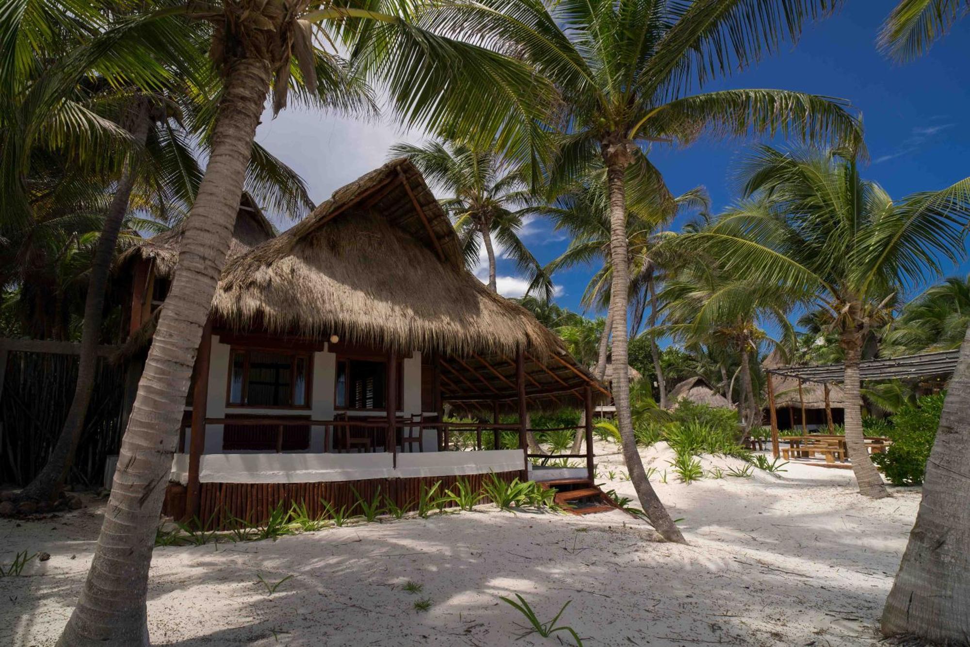 Bt Live Tulum Located At The Party Zone Otel Dış mekan fotoğraf