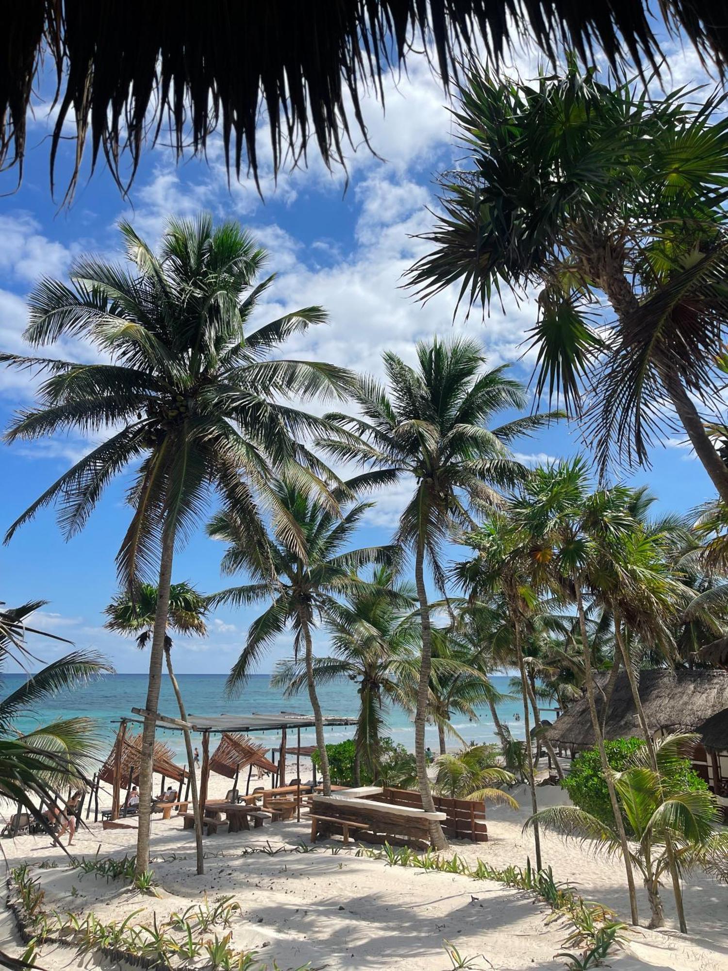 Bt Live Tulum Located At The Party Zone Otel Dış mekan fotoğraf