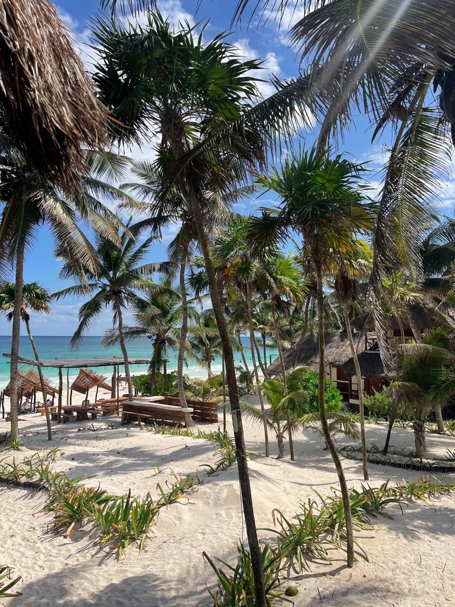 Bt Live Tulum Located At The Party Zone Otel Dış mekan fotoğraf